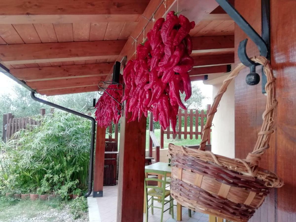 Le Chalet Del Pollino Ротонда Экстерьер фото